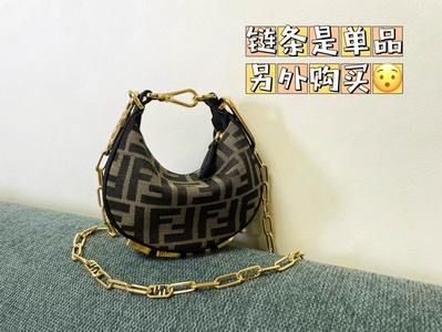 Fendi Handbags 339